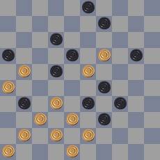 14131000556